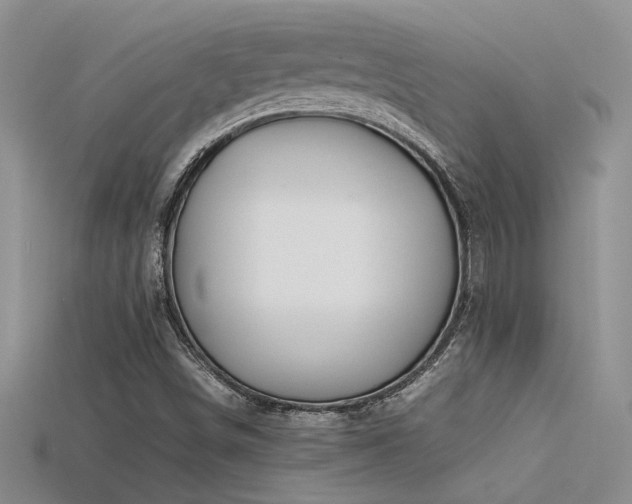 X0000115681498200911121234