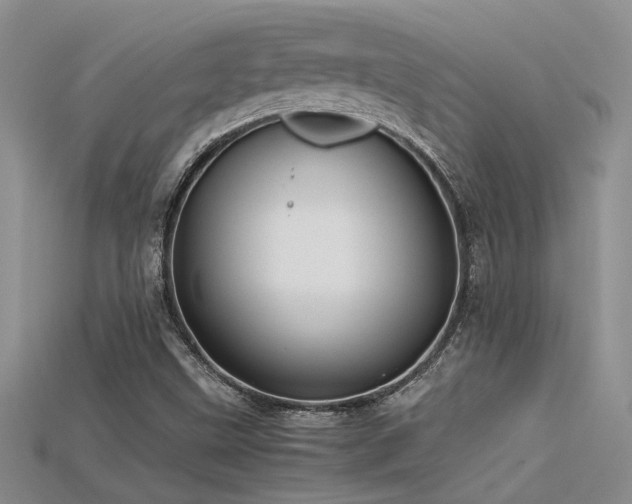 X0000115681499200911121234