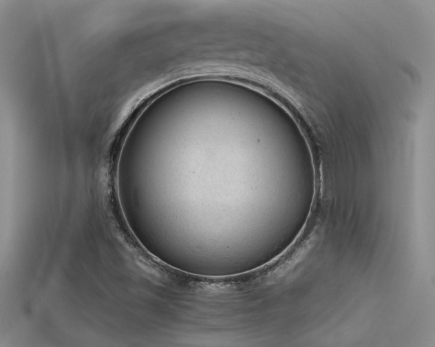X0000115681501200911121234