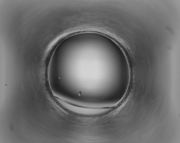 X0000115681502200911121234