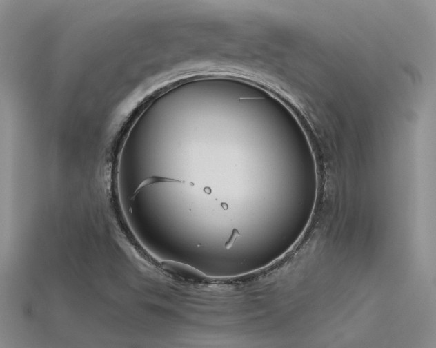 X0000115681503200911121234