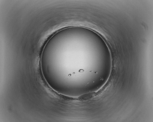 X0000115681507200911121235