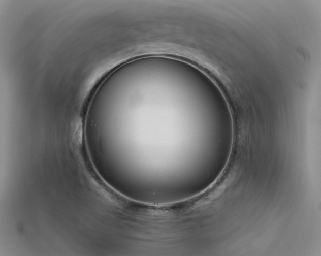 X0000115681509200911121235
