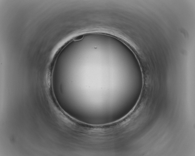 X0000115681510200911121235
