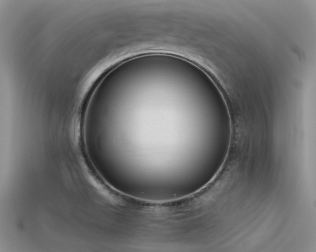 X0000115681511200911121235