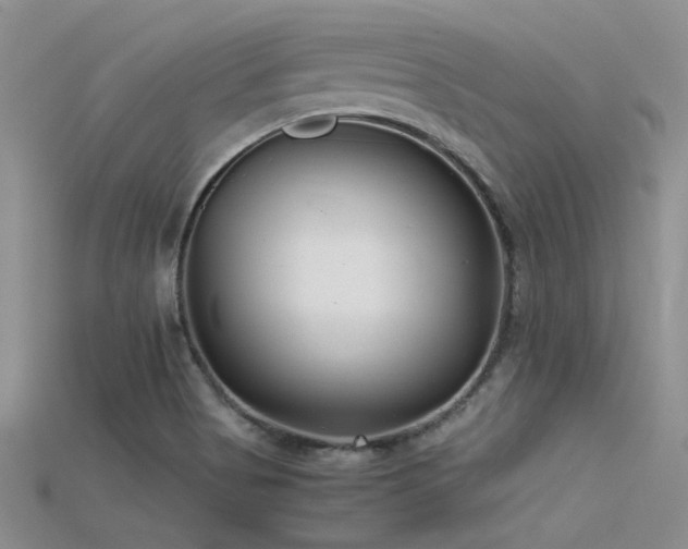 X0000115681513200911121235