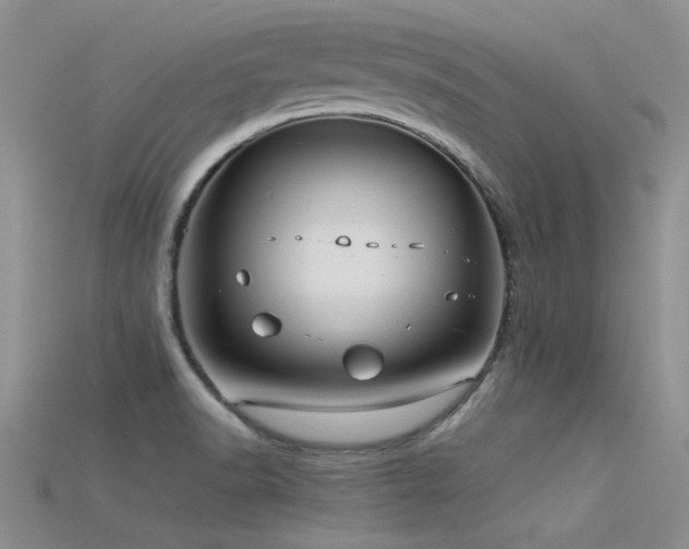 X0000115681518200911121235