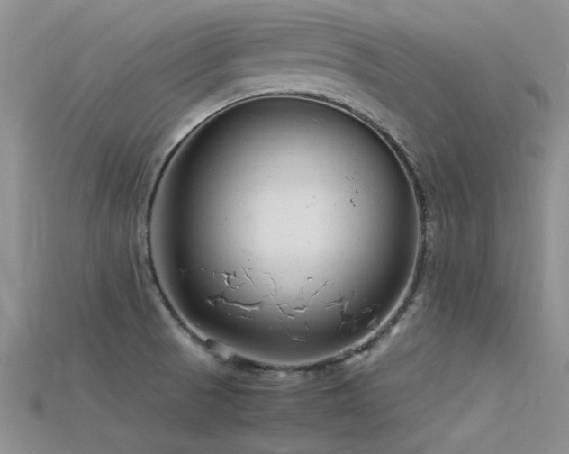 X0000115681521200911121235