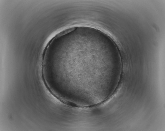 X0000115681522200911121235