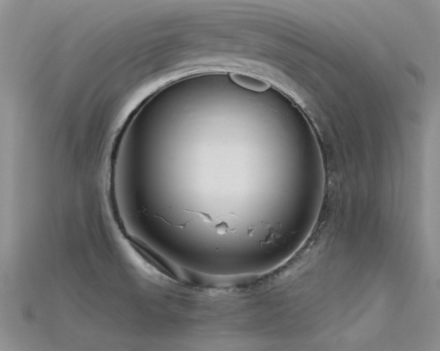 X0000115681523200911121235