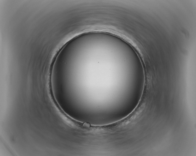 X0000115681525200911121235