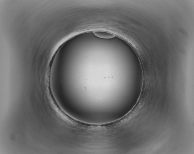 X0000115681526200911121235