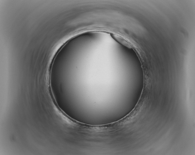 X0000115681527200911121235