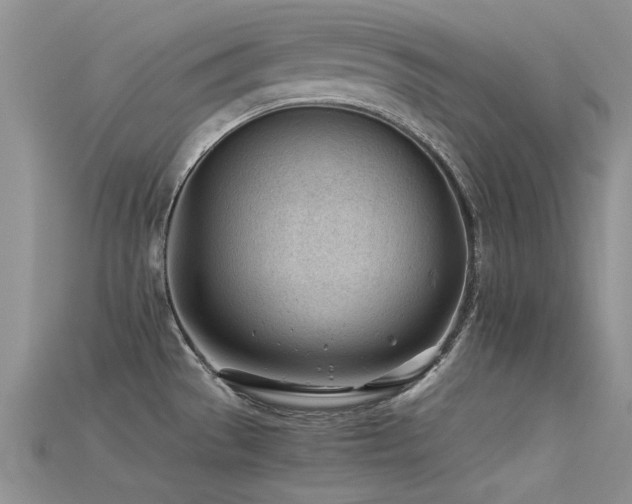 X0000115681529200911121235