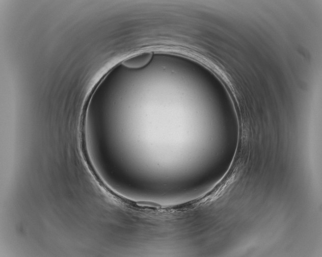 X0000115681533200911121235