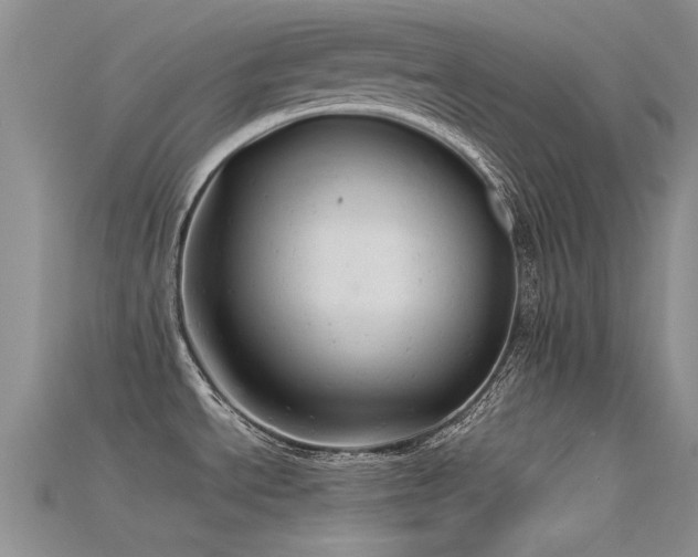 X0000115681534200911121235
