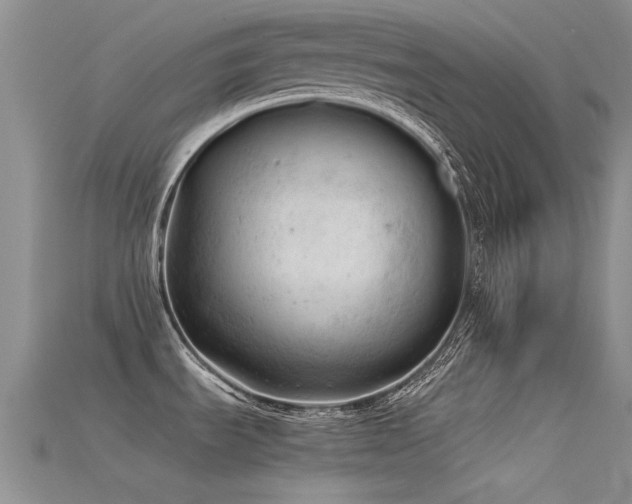X0000115681535200911121235