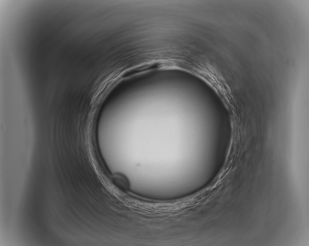 X0000115680001200911191103