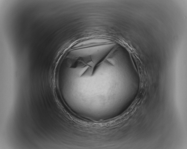 X0000115680002200911191103