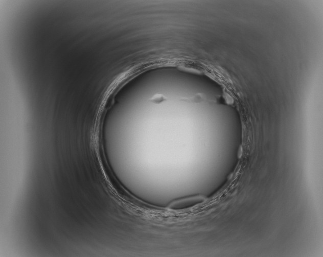 X0000115680003200911191103