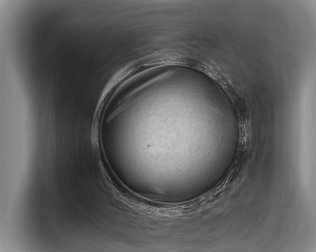 X0000115680004200911191103