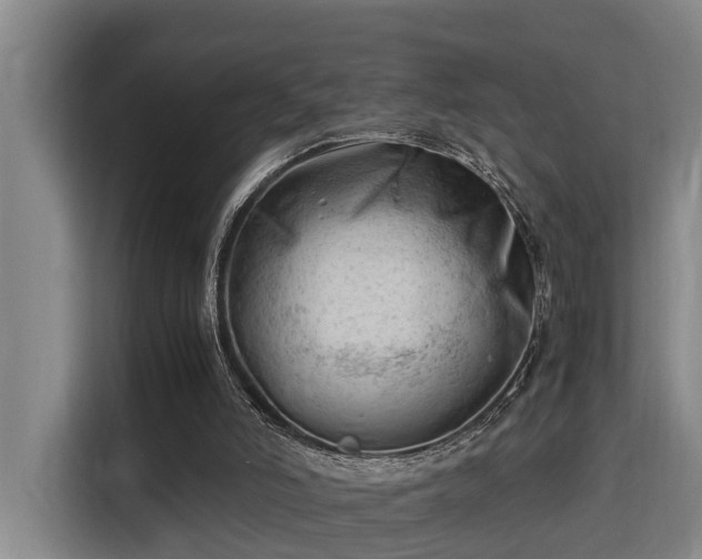 X0000115680006200911191103