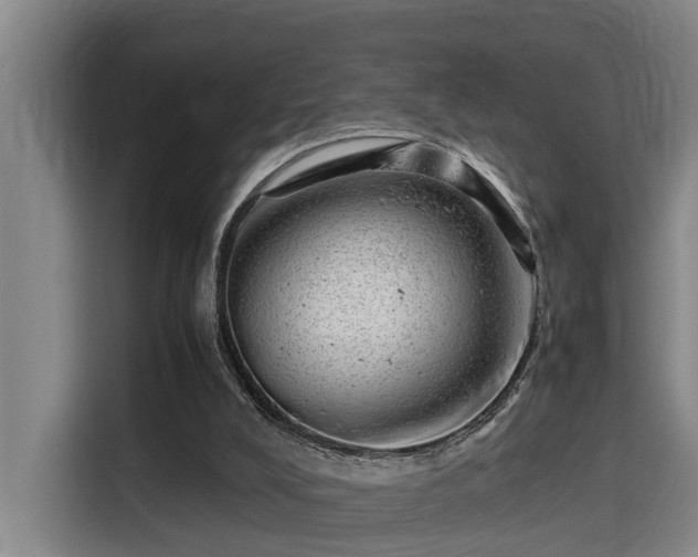 X0000115680008200911191103