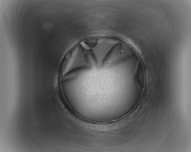 X0000115680010200911191103