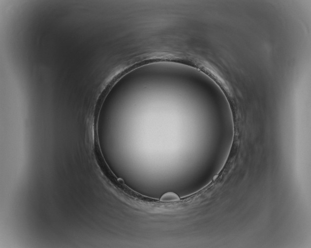 X0000115680011200911191103