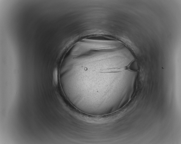 X0000115680014200911191103