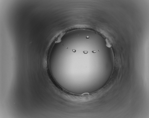 X0000115680015200911191103