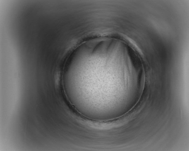 X0000115680018200911191103