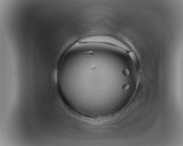 X0000115680019200911191103