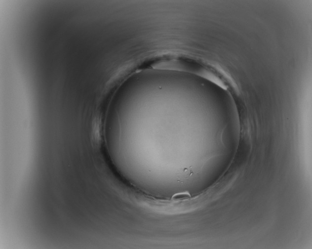 X0000115680023200911191103