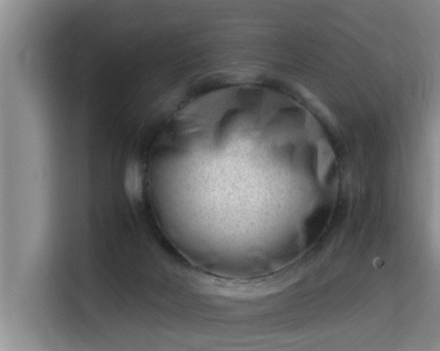 X0000115680026200911191103