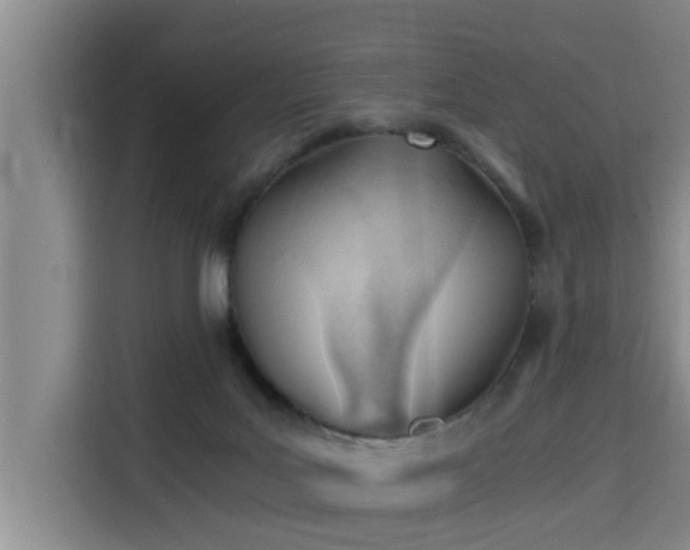 X0000115680027200911191103