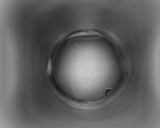 X0000115680028200911191103