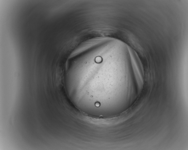 X0000115680030200911191103