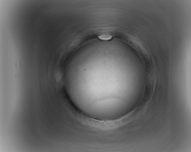 X0000115680031200911191103