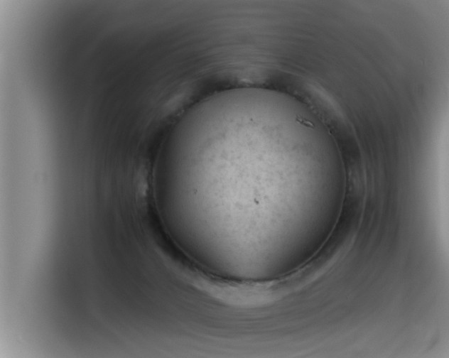 X0000115680032200911191103