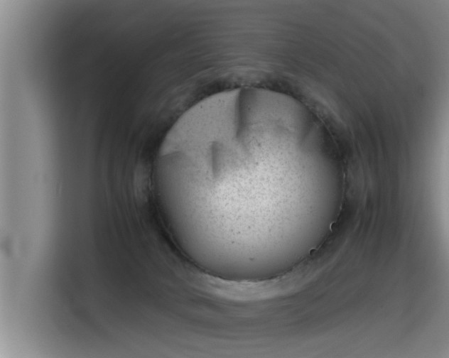 X0000115680034200911191103