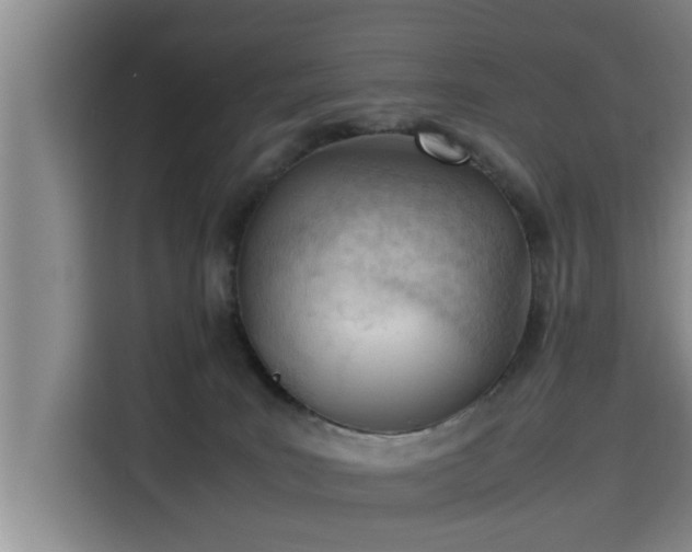 X0000115680035200911191103