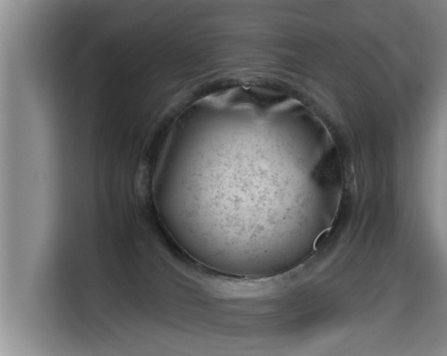 X0000115680036200911191103