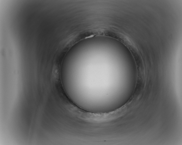 X0000115680037200911191103