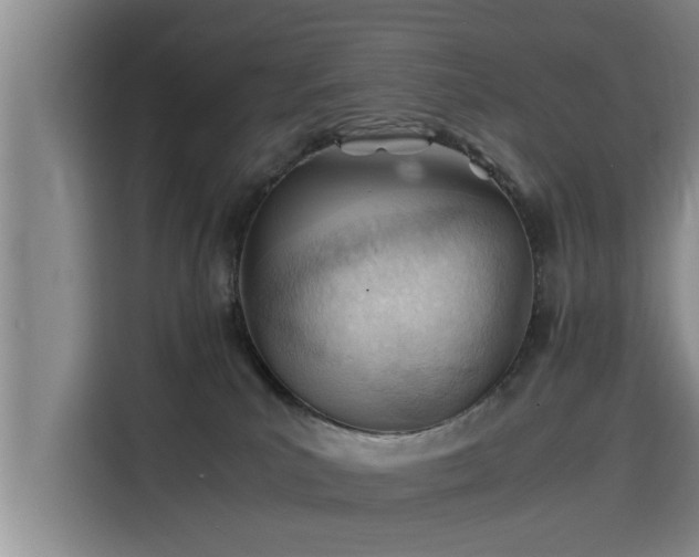 X0000115680039200911191103