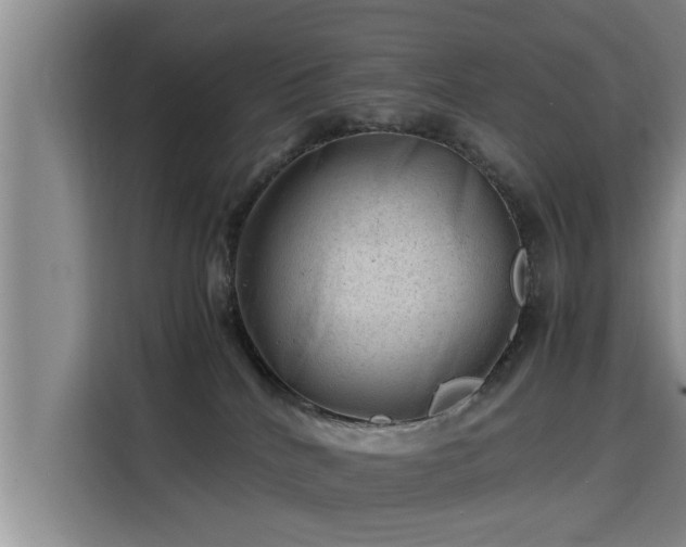 X0000115680040200911191102