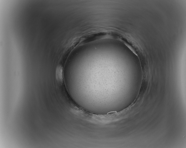 X0000115680041200911191102