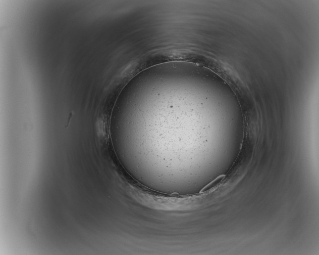 X0000115680044200911191102