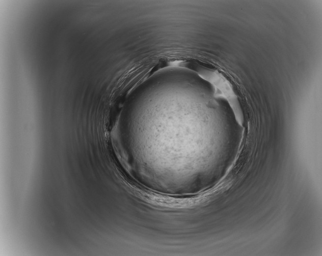 X0000115680048200911191102