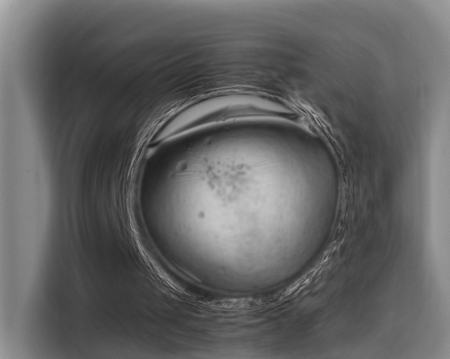 X0000115680049200911191102